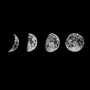 Meet your Posher, Aissata